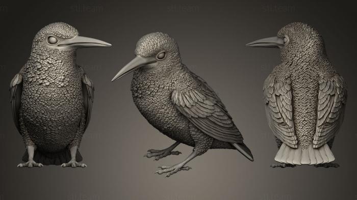 3D model Kingfisher sitting (STL)